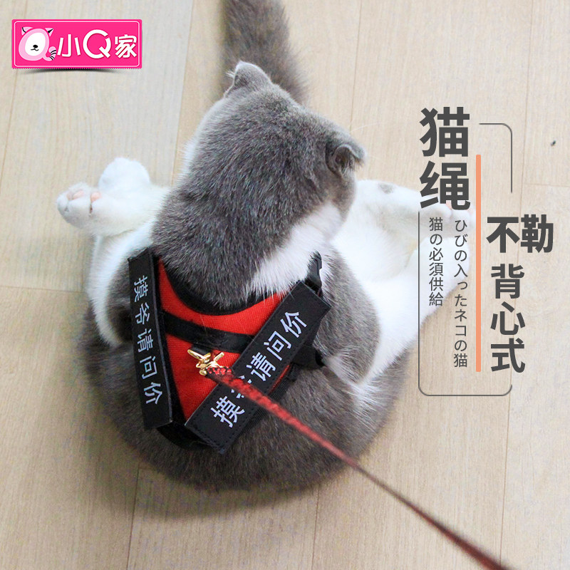 小q家 猫绳防挣脱背心式牵引绳猫咪用品猫专用绳子两件套猫牵引绳