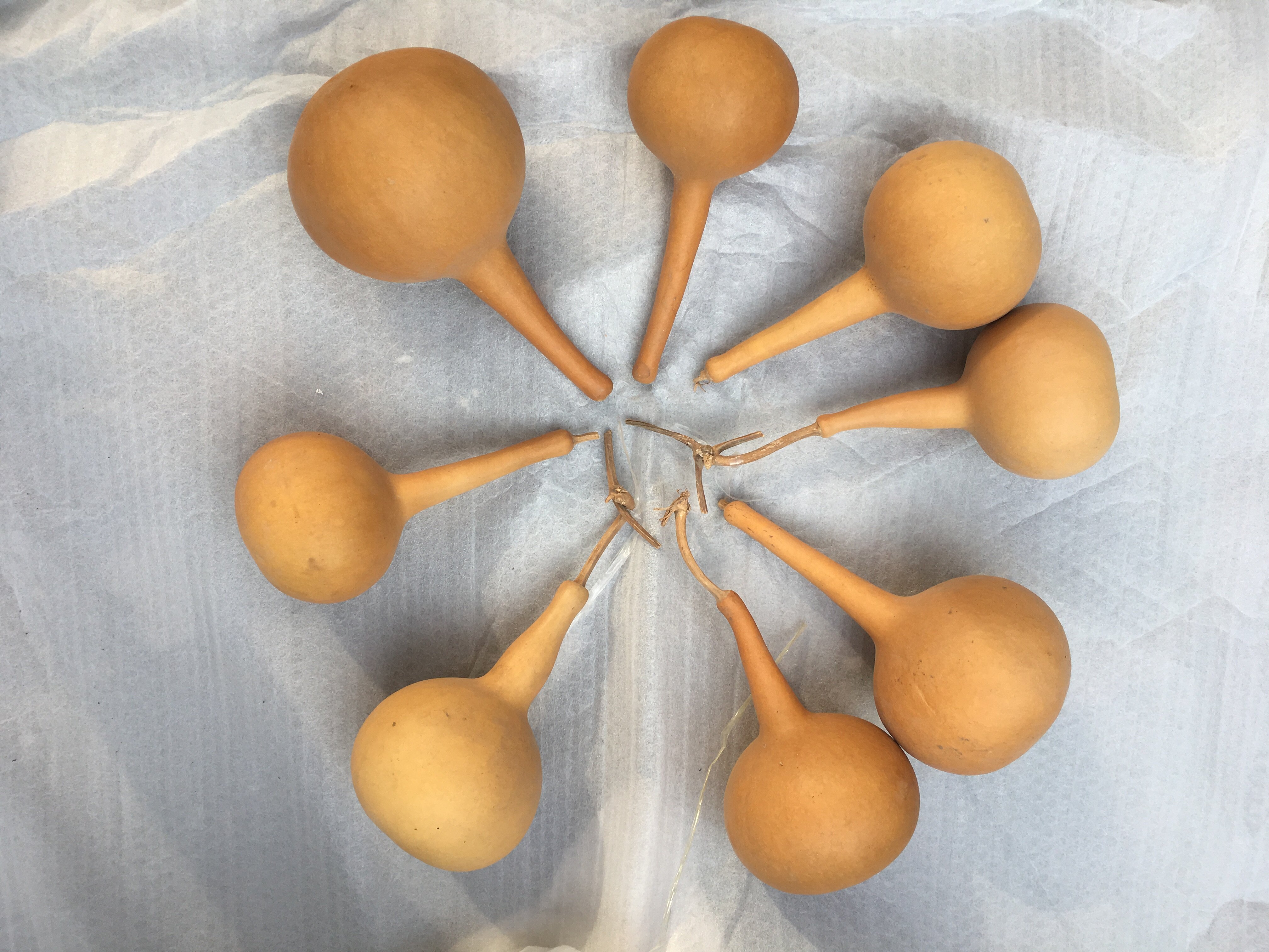 商品详情商品详情手机扫码下单葫芦相似商品