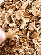 2021 new goods wild chopped original raw pecan kernels one pound bulk packaging Northeast Liaoning Huanren specialty