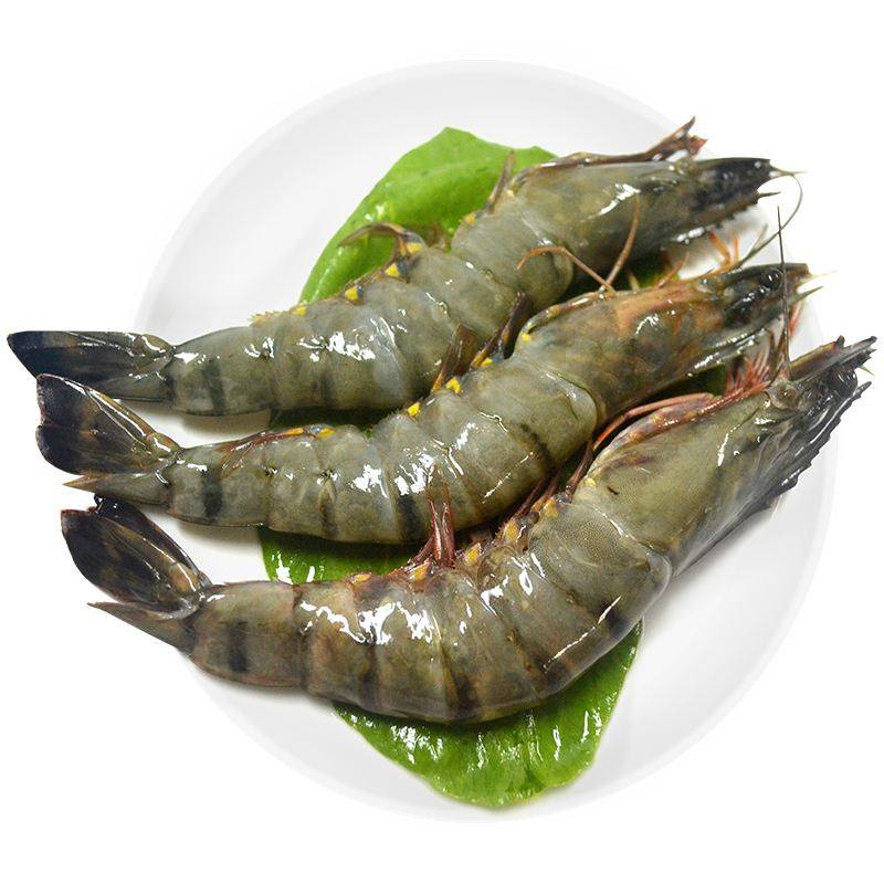 搜索"青岛虾"的优惠券结果页-搜券网