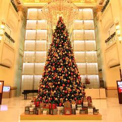 圣诞节装饰品 豪华加密大型3米圣诞树套餐3m树 加固铁脚精品大树