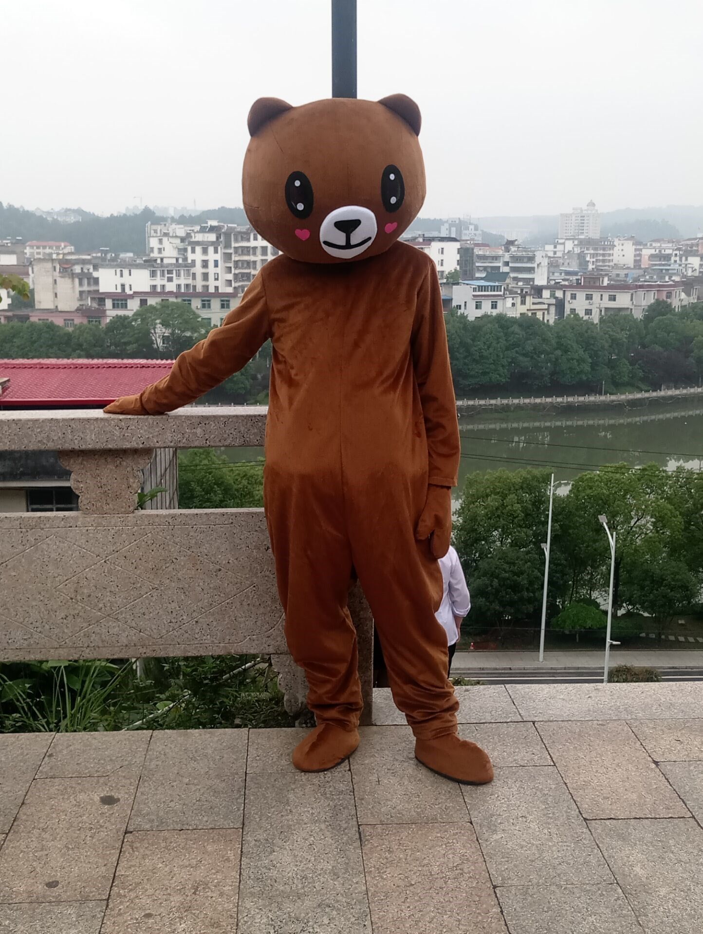 热销熊本熊服装