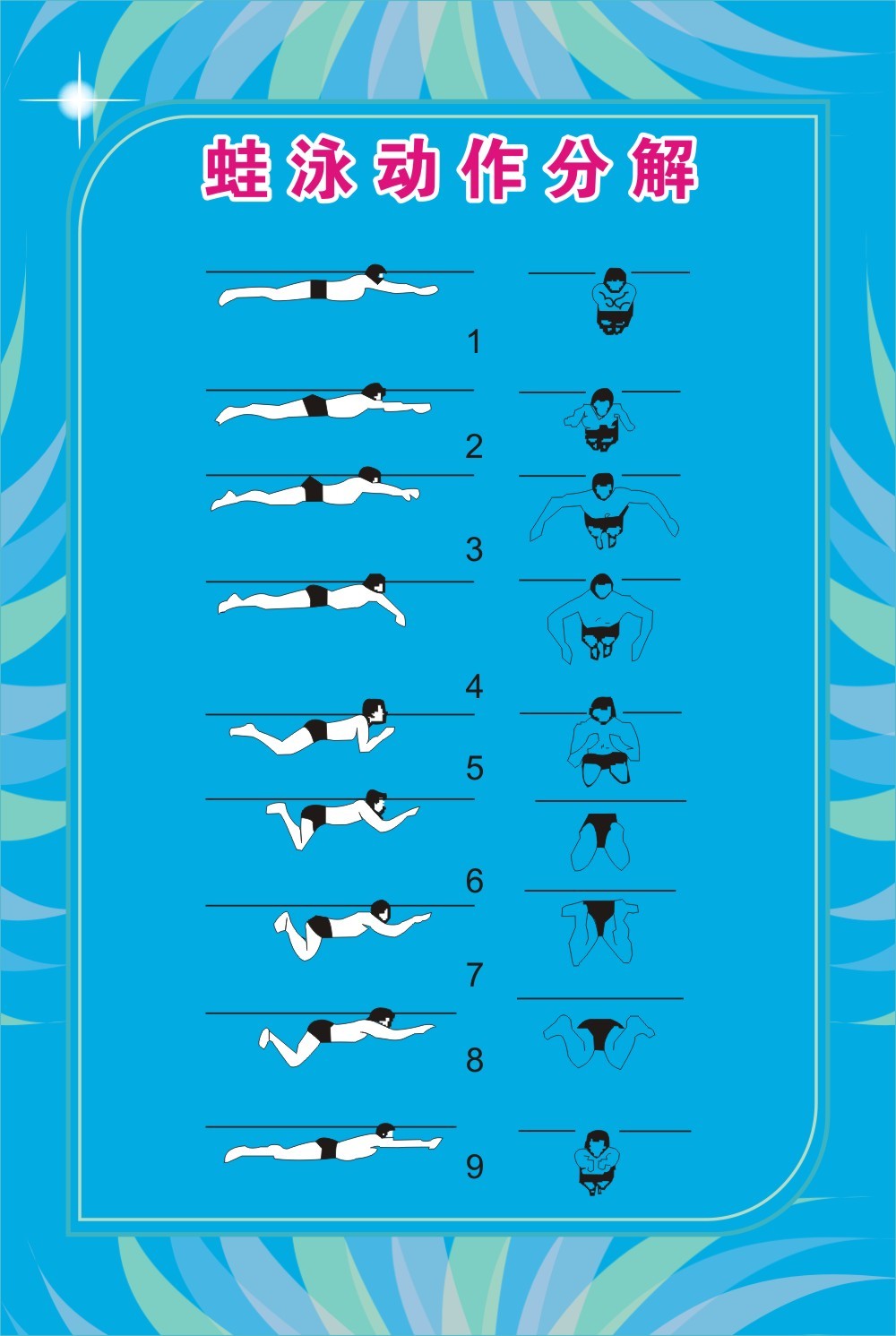 蛙泳腿一二三四分解图图片