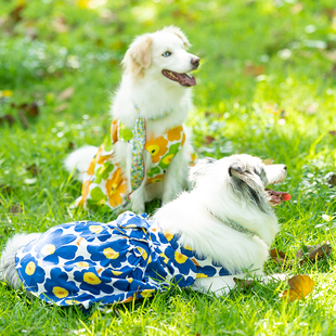 大狗狗夏季夏天边牧衣服裙子中大型犬薄款宠物可爱甜美吊带边衣裙