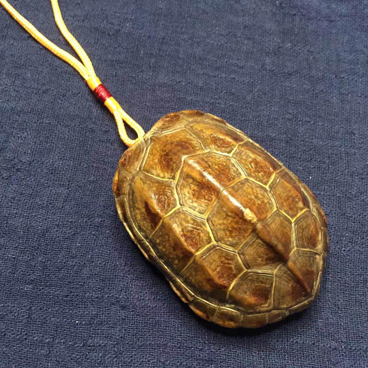 龟趣天然完整真乌龟壳富甲天下手把件龟甲挂件摆件外塘冷水沧桑质