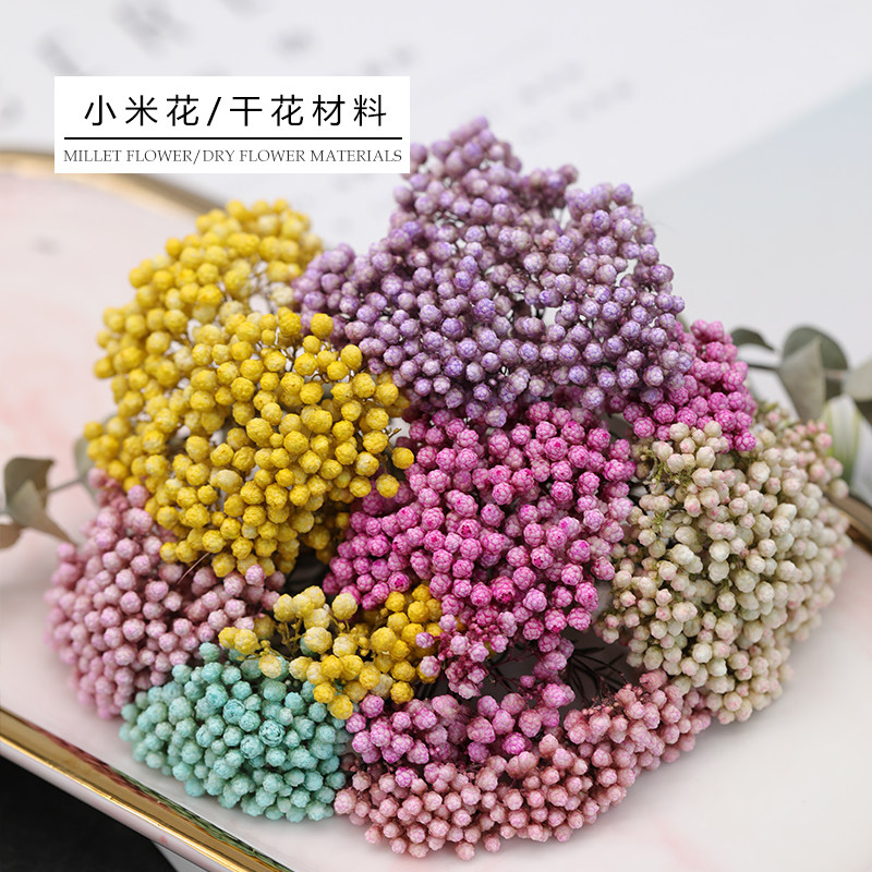 飞鱼手作  干花小米花2g 植物干花多色可选 香薰蜡烛蜡片diy材料