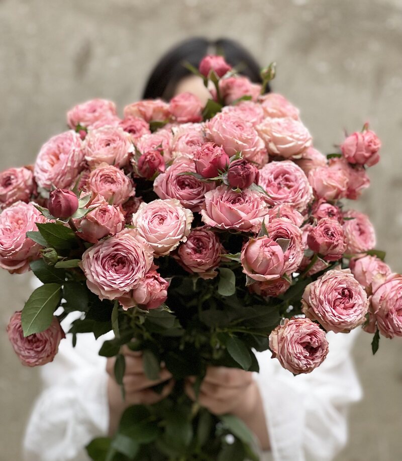 新鲜玫瑰多头玫瑰小玫瑰多头泡泡玫瑰a级高雅爱人宝贝爱人泡泡