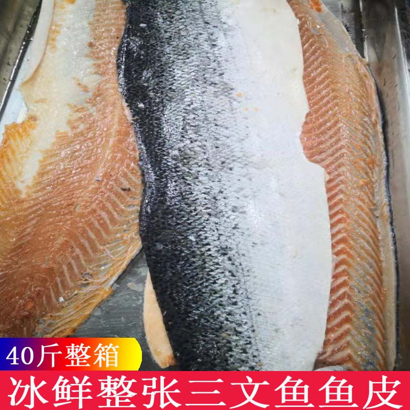 新鲜冷冻三文鱼鱼皮工厂直销宠物零食健康营养胶原蛋白整箱 40斤