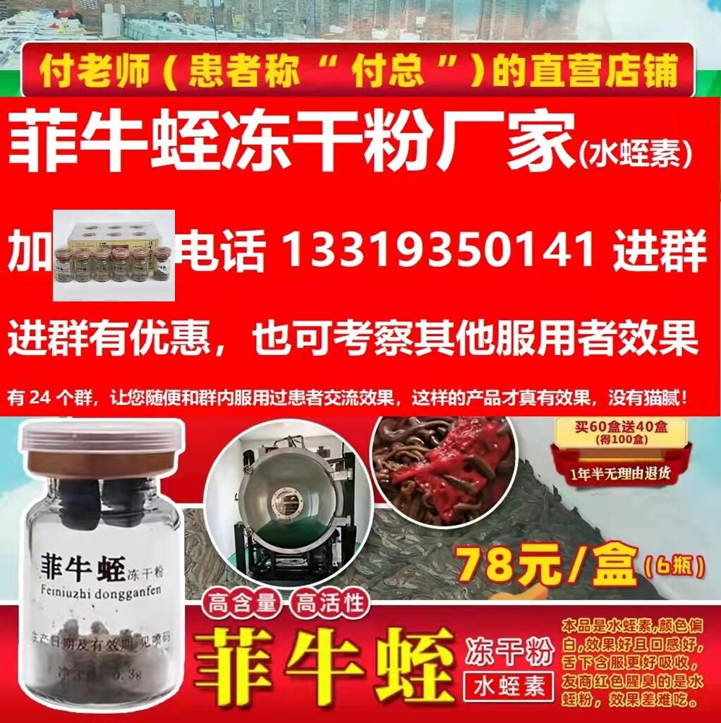 菲牛蛭冻干粉 高含量 高活性水蛭素 蚂蟥素 蛭肽素菲牛养殖场直供