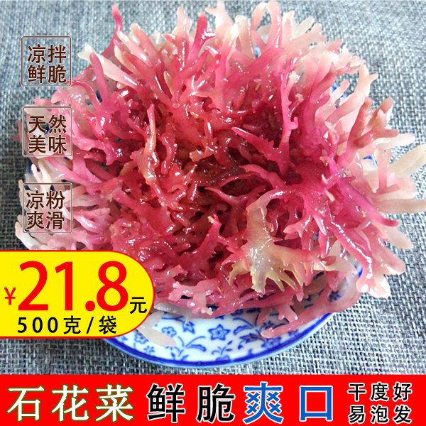 新鲜石花菜 500g麒麟菜珊瑚草海藻龙须菜海石花海冻菜红藻干货