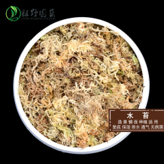 绿野园艺|水苔 多肉植物造景造型苔藓 微观瓶多肉绿植专用