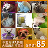 尼诺猫狗真菌螨虫皮肤病纯中药浴SPA美毛除臭湿疹除跳蚤皮炎皮屑 尼诺猫狗真菌螨虫皮肤病纯中药浴SPA美毛除臭湿疹除跳蚤皮炎皮屑