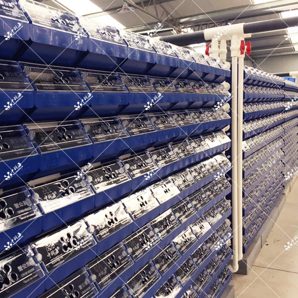 新款循环水小龙虾养殖箱蟹公寓梭子蟹青蟹室内大闸蟹立体防逃致富