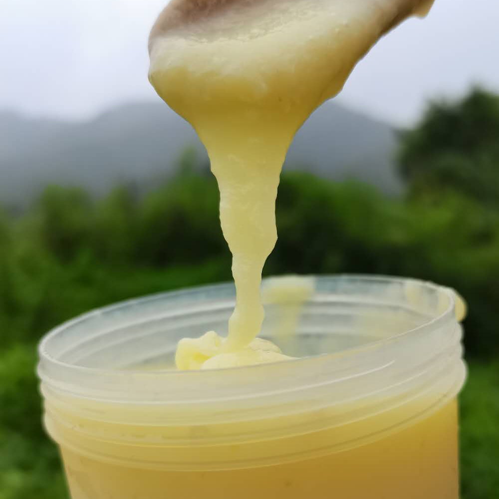 深山天然新鲜蜂皇浆500克蜂乳