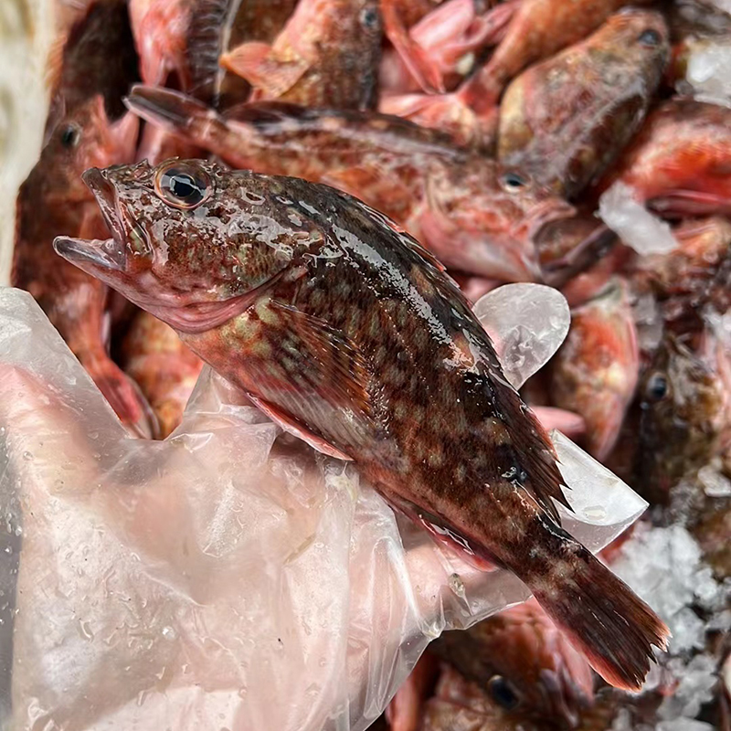 东海海鲜-特价促销-优惠券领取-价格|多少钱|什么牌子好-35优惠券网站