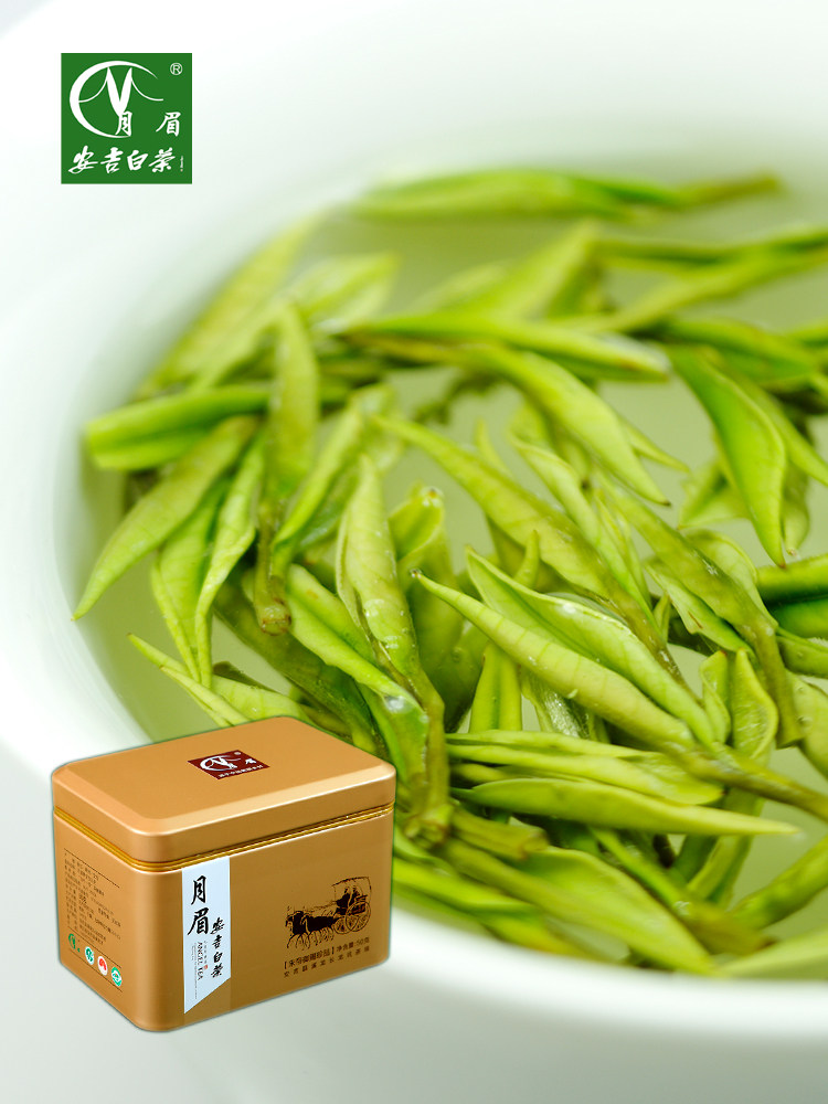 22年新茶上市月眉安吉白茶开园头采正宗溪龙产地明前茶叶50克包邮