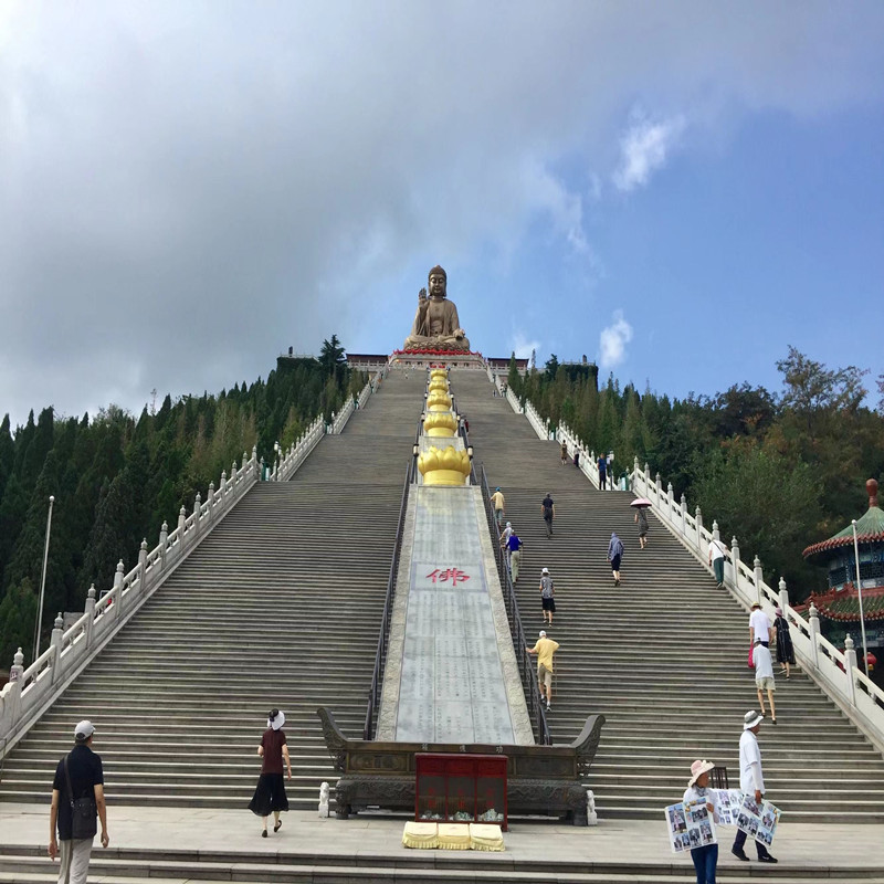 [烟台南山旅游景区-大门票+观光车成人票]大门票+往返观光车票