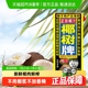椰树椰奶正宗椰树牌椰汁245ml×12盒饮料椰子汁网红海南特产