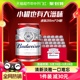 Budweiser/百威小麦醇正啤酒整箱Mini罐255ml*24听