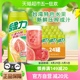 台湾绿力红番石榴果汁饮料480ml*24瓶红芭乐果汁大罐好喝聚餐饮品