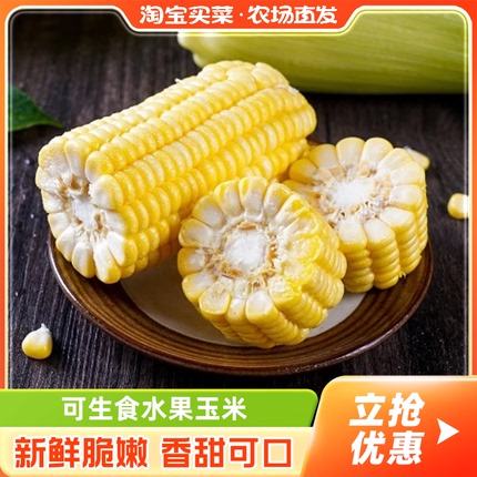 云南高原水果玉米新鲜现摘蔬菜嫩甜棒子甜脆爆浆即食可生吃