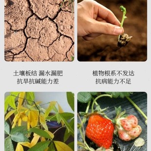 土壤活化剂黑水肥料通用型浇花养花专用松土精土壤活化宝黑水肥料