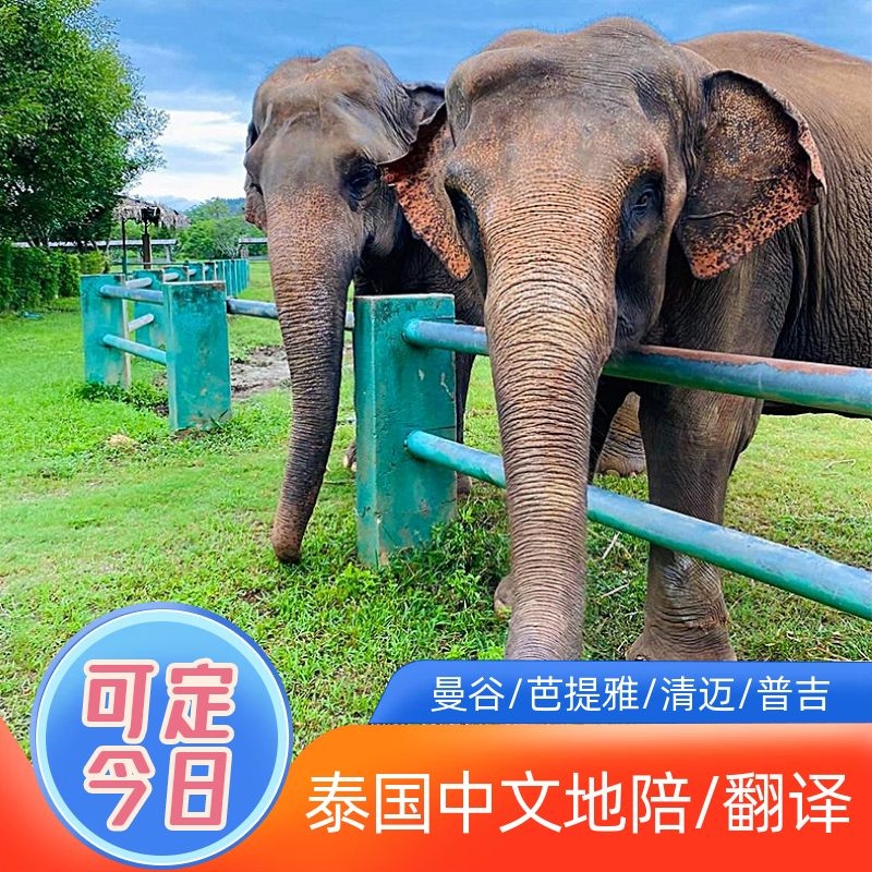 泰国旅游曼谷清迈芭提雅普吉岛中文地陪向导陪玩商务翻译陪同在类目 度假线路/签证送关/旅游服务, 周边商品/服务/旅游用品, 导游中 - 来自Buy2taobao.com提供专业的淘宝代购服务