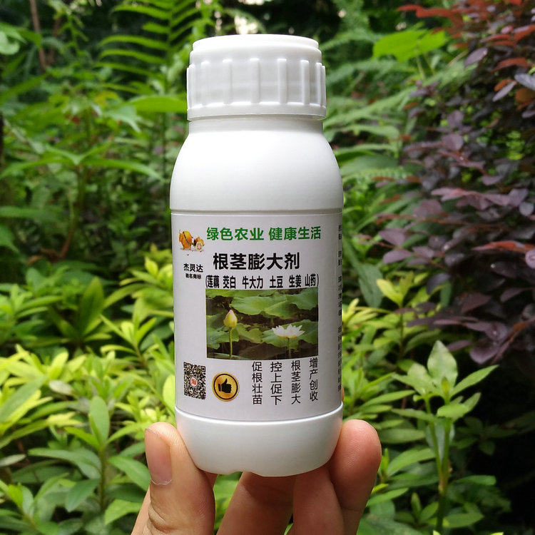 绿邦 杰灵达 根茎膨大剂 块茎丰产素 牛大力莲藕茭白生姜土豆山药