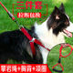狗狗牵引绳狗链子宠物胸背中小型犬遛狗绳链项圈泰迪斗牛比熊金毛