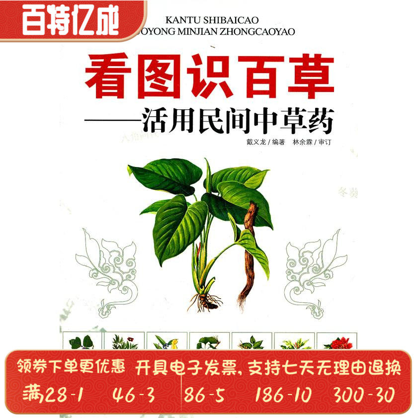 看图识百草-活用民间中草药戴义龙福建科学技术出版社9787533537586