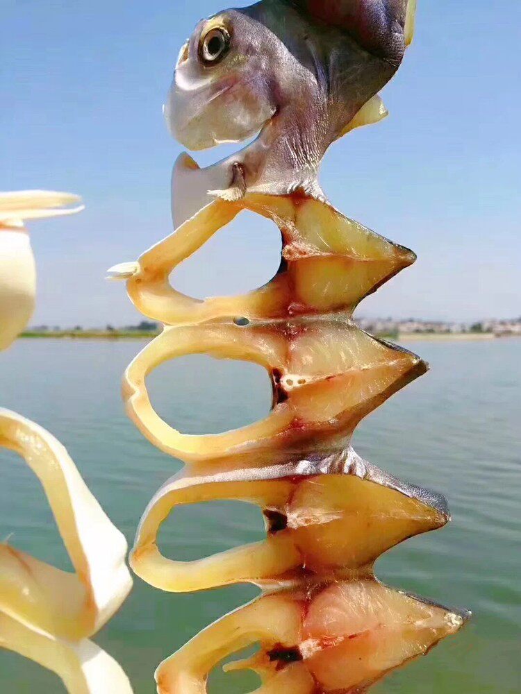 金鲳鱼干淡晒北海特产海鲜海味金昌鱼大鱼干鲳鱼干货深海渔家自晒