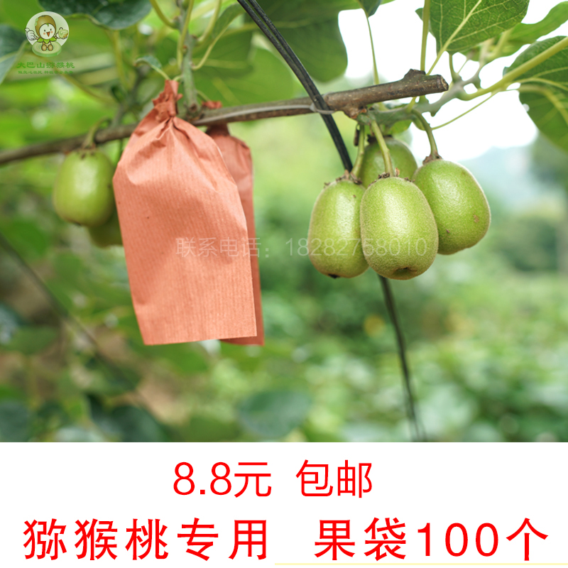 Bag Pest control Fruit tree Bagging Bird Seed bags fruit paper bag Kiwi Dedicatedin the Flower delivery/Flowers simulation/Plants gardening , Gardening supplies , Other Garden Supplies category - from Buy2taobao.com to provide professional Taobao agent buy service