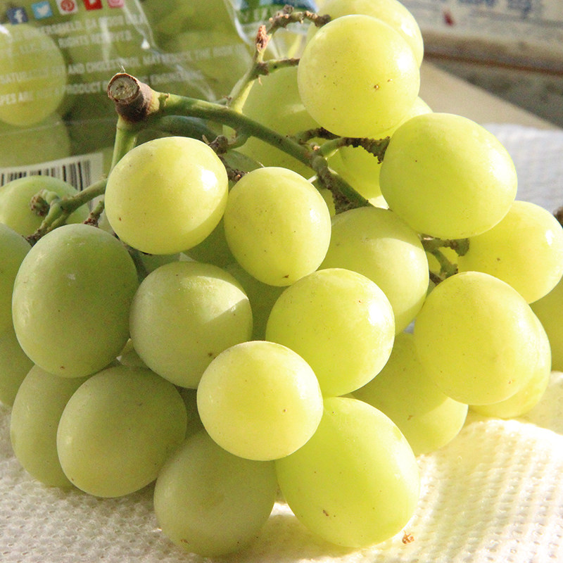 礼盒装大连现摘5斤巨峰葡萄新鲜水果孕妇黑加仑夏黑提子黑提包邮