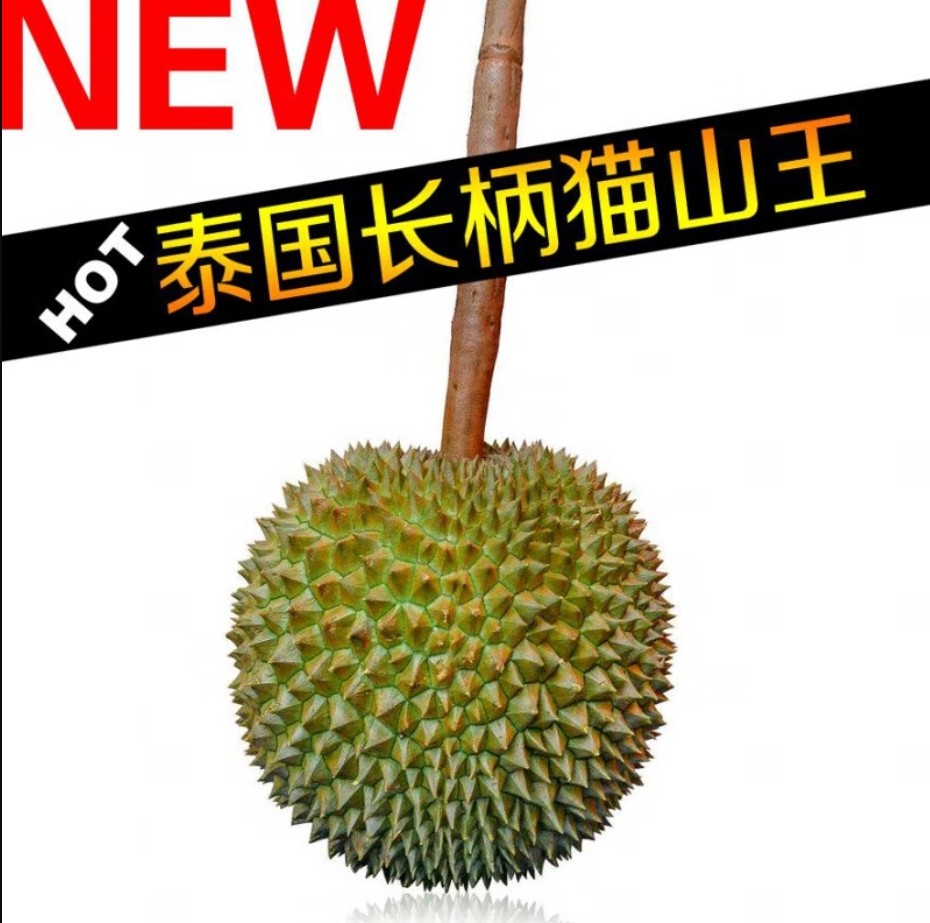 长柄猫山王 新鲜榴莲水果泰国榴莲 一整个带壳整果榴莲