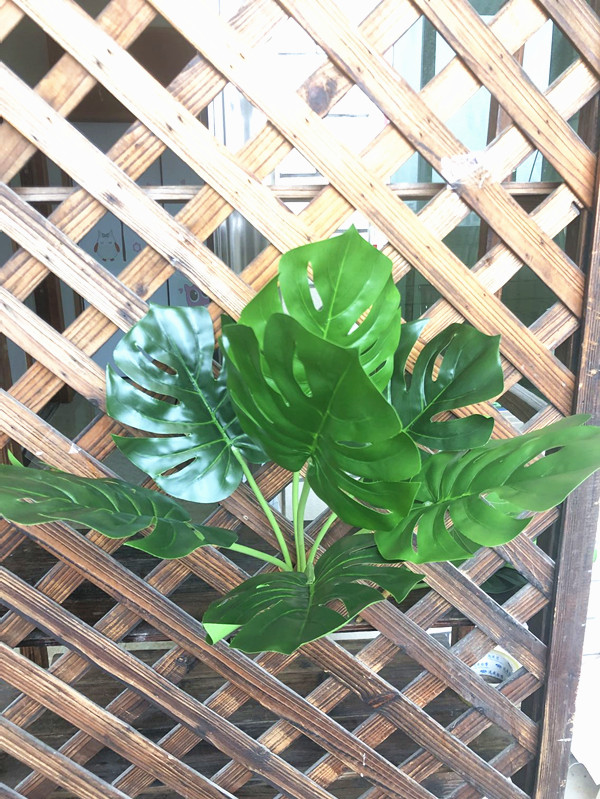 仿真龟背叶子仿真绿植绢花假花植物工程布景摄影装饰花|ruв категории доставка цветов/цветок моделирования/растения садоводства, искусственные цветы/растения/фрукты и овощи готовой продукции (новая), моделирование растения - от Buy2taobao.com для оказания профессиональной услуги покупки агента Taobao