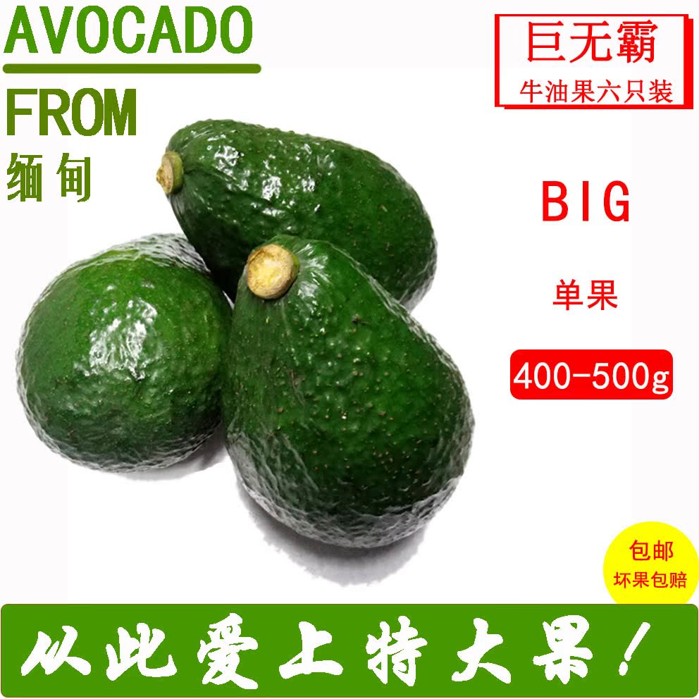 巨无霸400-500g/只缅甸野生新鲜牛油果 /鳄梨6只装包邮坏果包赔|ruв категории водной мясо/свежие фрукты и овощи/еда, свежие фрукты, авокадо - от Buy2taobao.com для оказания профессиональной услуги покупки агента Taobao