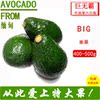 巨无霸400-500g/只缅甸野生新鲜牛油果 /鳄梨6只装包邮坏果包赔|ru 巨无霸400-500g/只缅甸野生新鲜牛油果 /鳄梨6只装包邮坏果包赔|ru