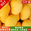 正宗缅甸进口圣德龙芒果一级精品新鲜水果10斤装产地直发坏果包赔|ru 正宗缅甸进口圣德龙芒果一级精品新鲜水果10斤装产地直发坏果包赔|ru