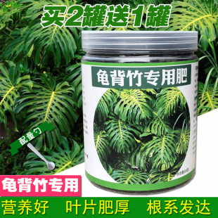 龟背竹肥料 专用肥 办公室内大型植物龟背竹营养土绿植盆栽有机肥