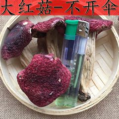 云南特级深山野生红蘑菇红菇正宗红椎菌孕妇月子滋补菇干货100克