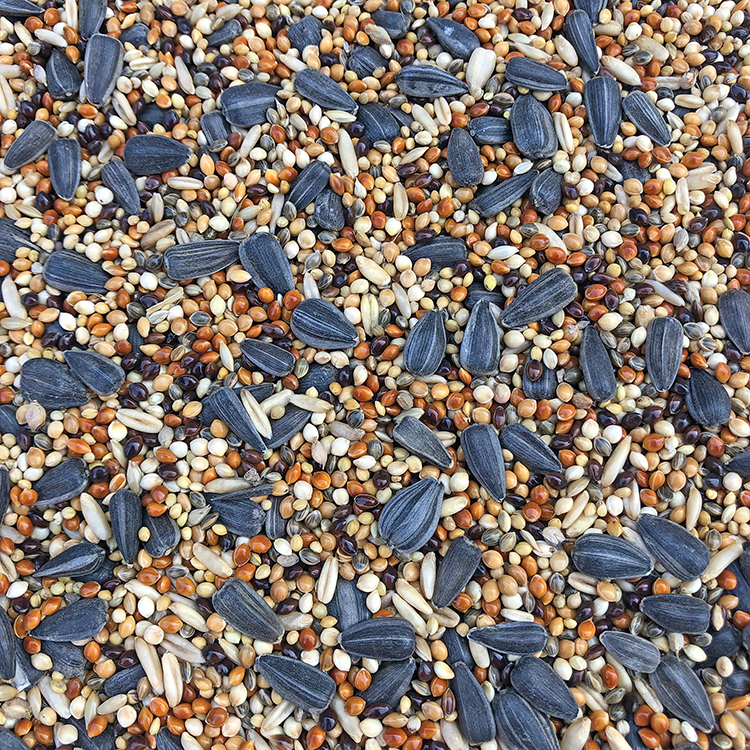 玄鳳鹦鹉混合糧食牡丹橫斑虎皮鹦鹉鳥食中小型鳥混合飼料500g在類目 寵物/寵物食品及用品, 鳥類及用品, 鳥食中 - 來自Buy2taobao.com提供專業的淘寶代購服務