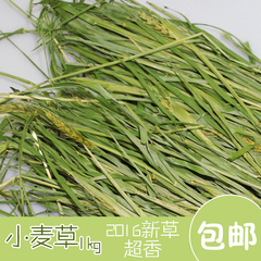 威毕 宠物兔子干草小麦草 兔子龙猫 豚鼠干草牧草 助排毛 1kg包邮