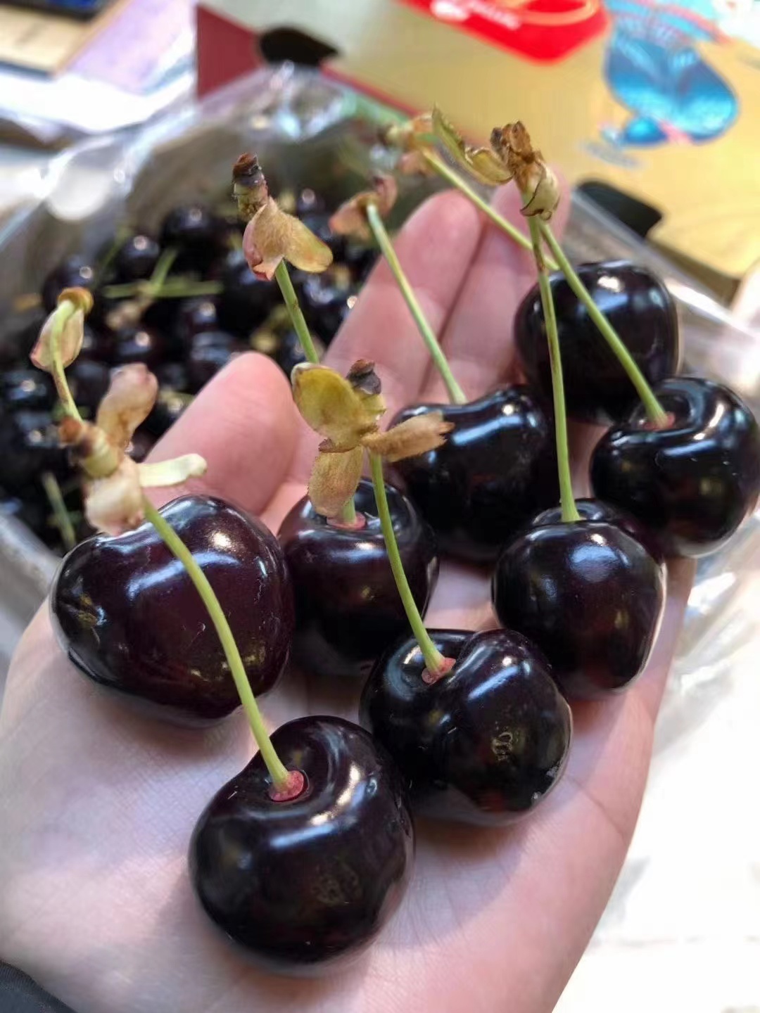 车厘子瑞吉娜1.5日期 5斤原装   颗颗亮黑 个个大长腿果肉鲜嫩多