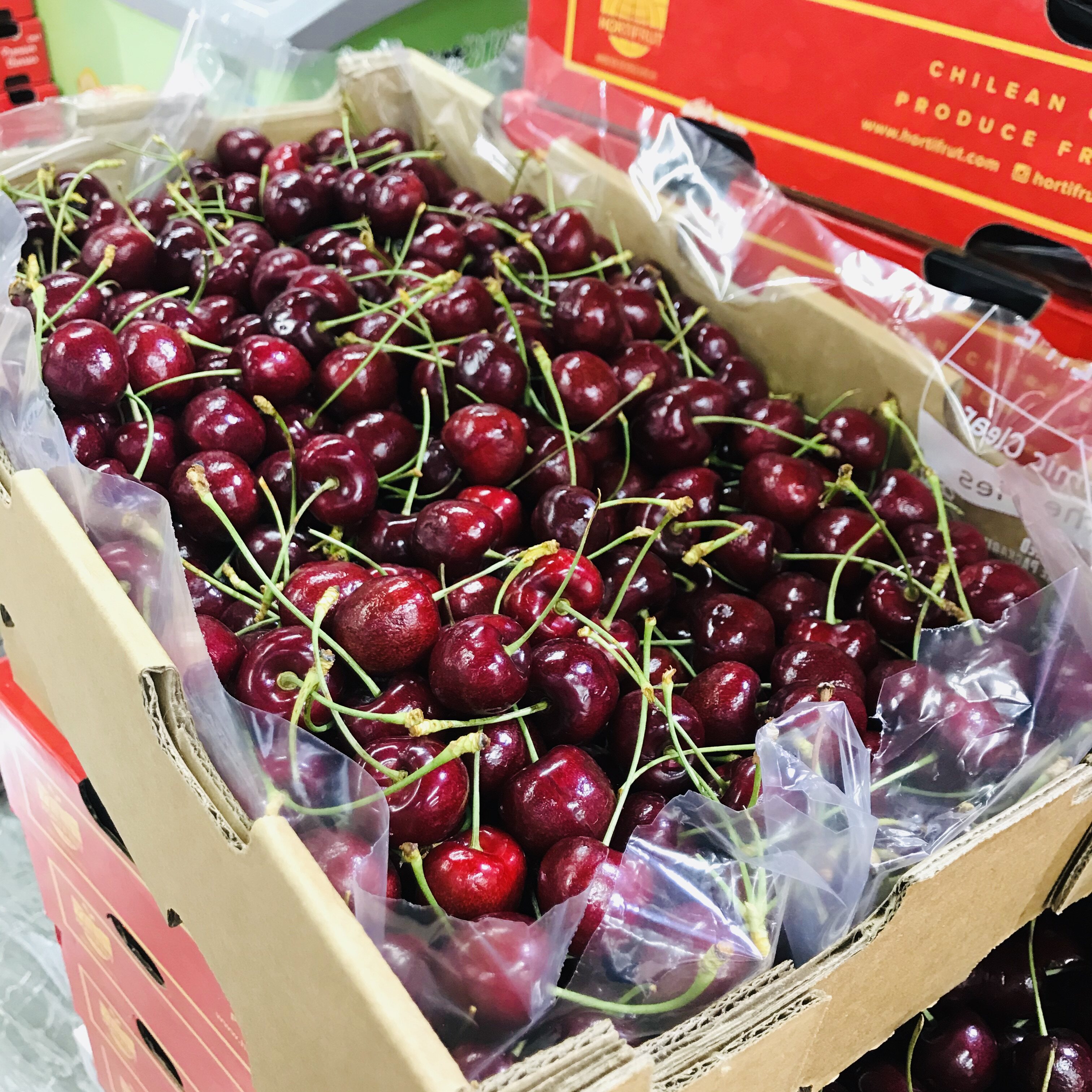 新到瑞吉娜大长腿 车厘子 深红硬 杆绿个大甜度高味道浓5斤10斤装