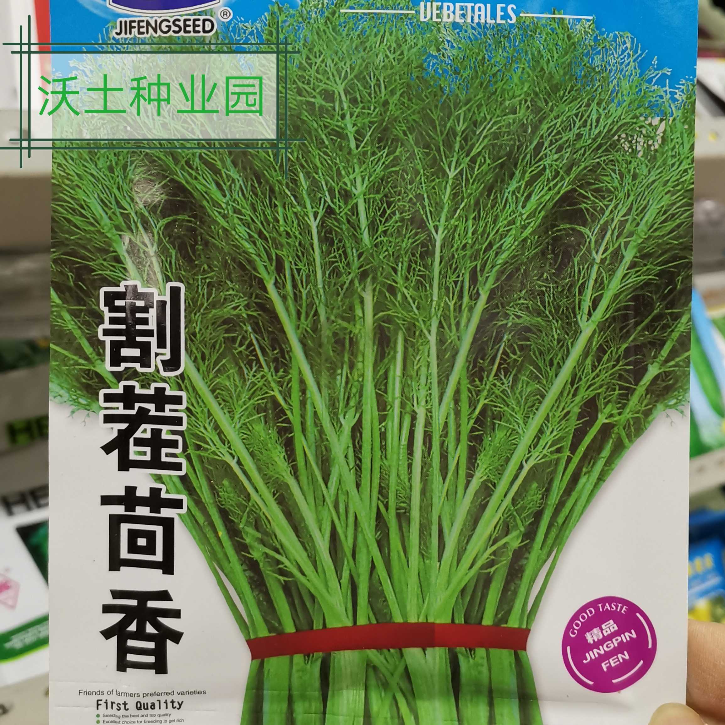 沃土种业园割茬茴香种子30克耐寒四季露地阳台蔬菜栽培好吃包饺子