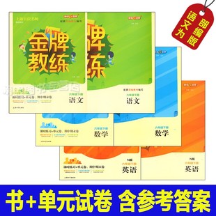 金牌教练 语文部编版数学英语N版六年级第二学期/6年级下册 上海初中教辅 教材同步配套期中期末单元测试课后试题