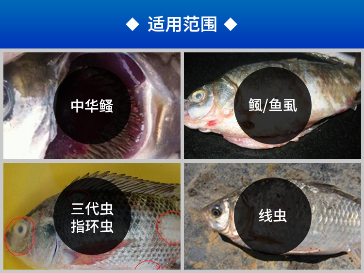 The Bight Aquatic products breed Trichlorphon Insecticidal Sterilization Pond Algae Fertilizer Consultation servicein the Livestock/Aquaculture supplies , Animal health products/Water quality regulator, Water quality regulator category - from Buy2taobao.com to provide professional Taobao agent buy service