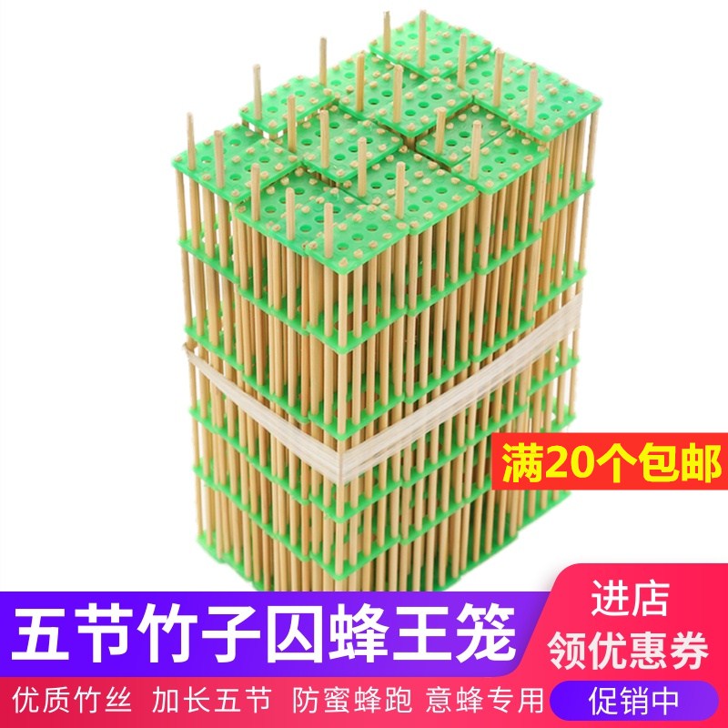 养蜜蜂竹子意蜂蜂王笼加长五节囚王笼用标准蜂箱挂巢脾防蜂王跑