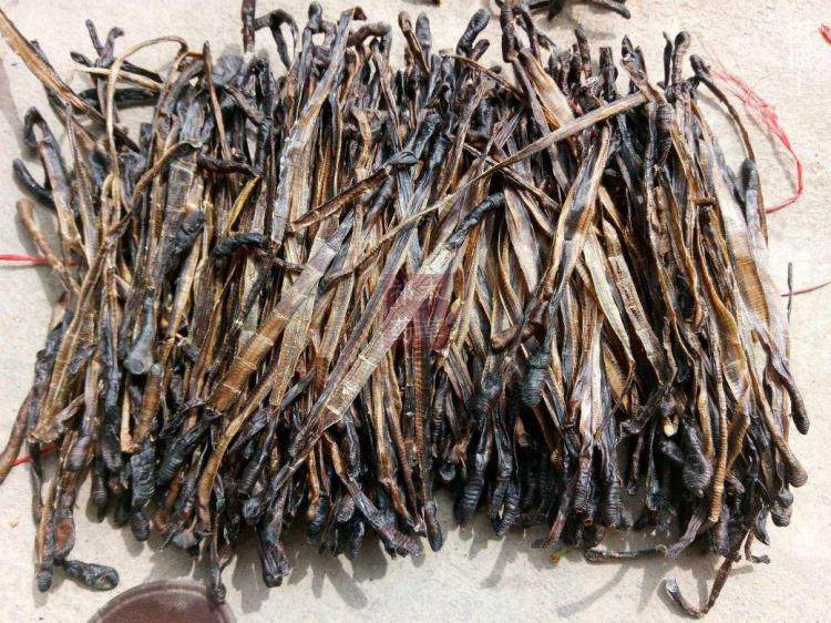 地龙中药材蚯蚓干250g包邮全开广地龙干无土免清洗 免费磨地龙粉