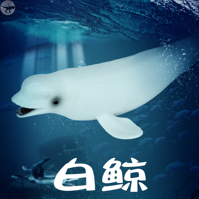 海洋鲸鱼玩具白鲸模型仿真动物海底生